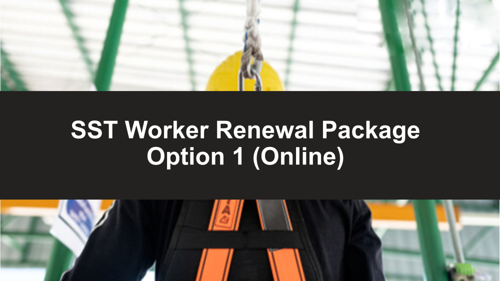 Paquete de Renovacion para Trabajadores SST Opcion 1