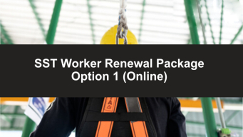 Paquete de Renovacion para Trabajadores SST Opcion 1